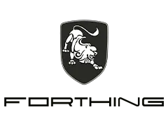 Forthing T5 EVO