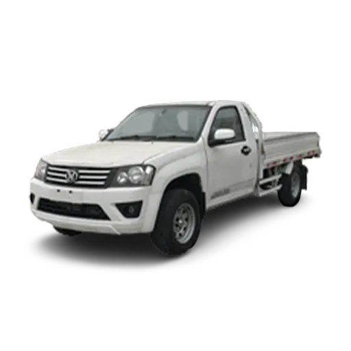 JMC T100